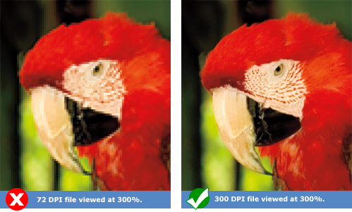 free online image converter 72 dpi to 300 dpi